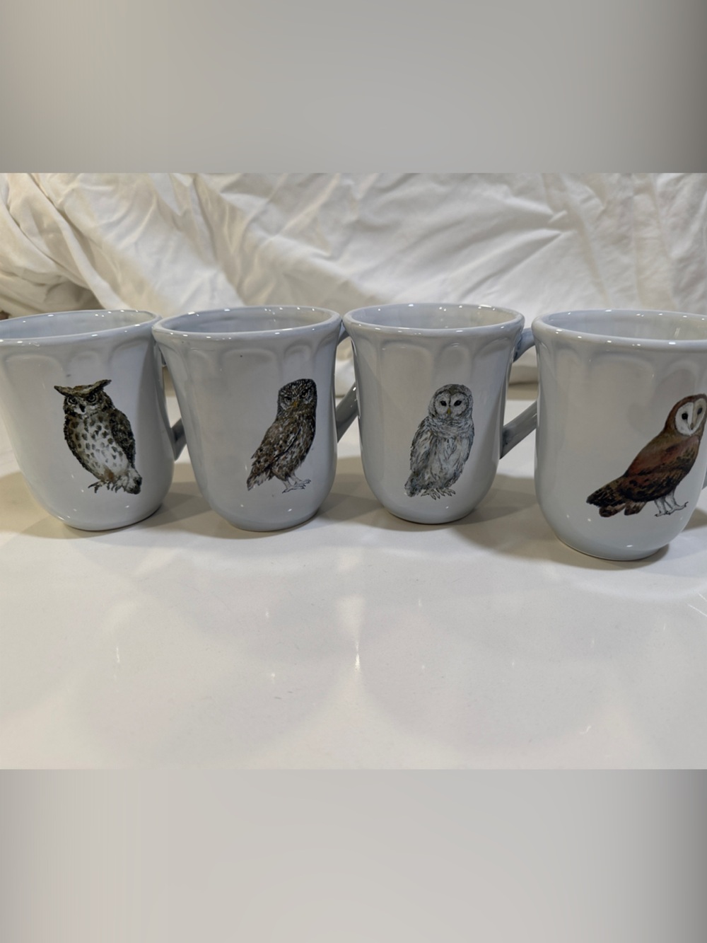 Cost Plus World Market White Owl Ceramic Mug Set - 4 Piece